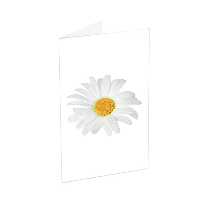 Classic Gift Card & Envelope Oh Daisy Pk25 (6.5x10cmH)