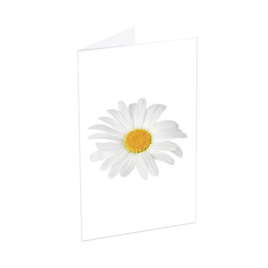 Classic Gift Card & Envelope Oh Daisy Pk25 (6.5x10cmH)