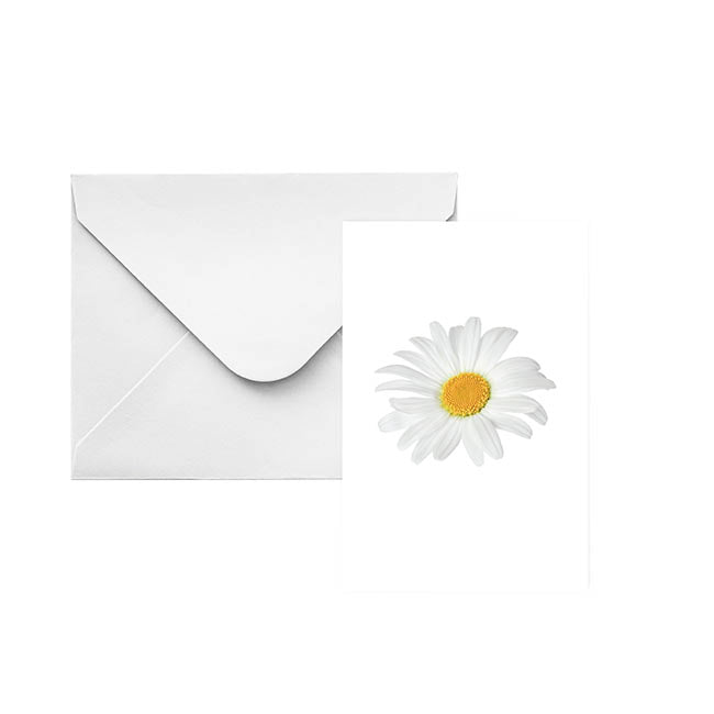 Classic Gift Card & Envelope Oh Daisy Pk25 (6.5x10cmH)