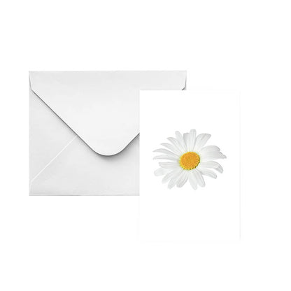 Classic Gift Card & Envelope Oh Daisy Pk25 (6.5x10cmH)