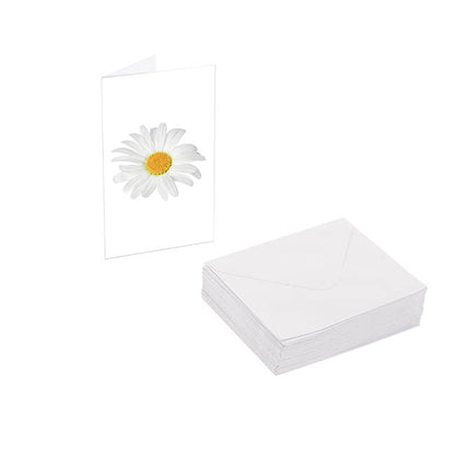Classic Gift Card & Envelope Oh Daisy Pk25 (6.5x10cmH)