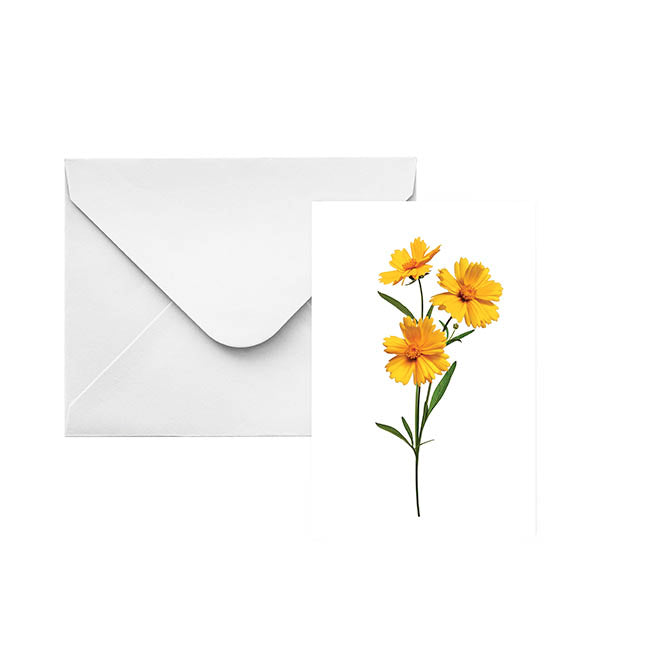 Classic Gift Card & Envelope Yellow Bloom Pk25 (6.5x10cmH)