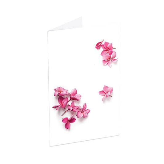 Classic Gift Card & Envelope Pink Blossoms Pk25 (6.5x10cmH)