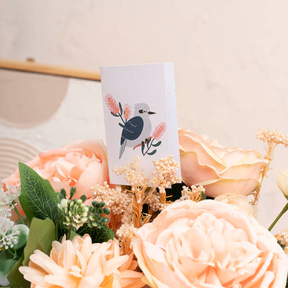 Classic Gift Card & Envelope Kookaburra Pk25 (6.5x10cmH)