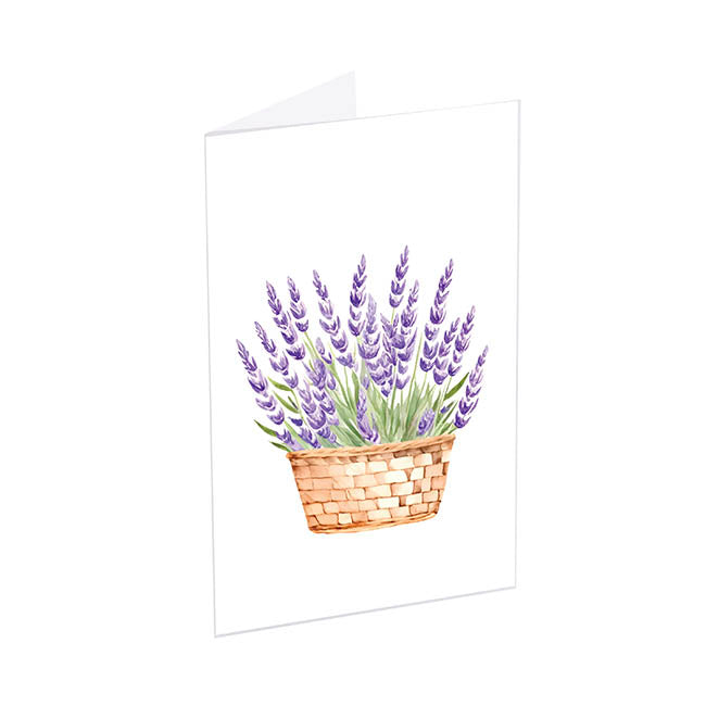 Classic Gift Card & Envelope Lavender Pk25 (6.5x10cmH)