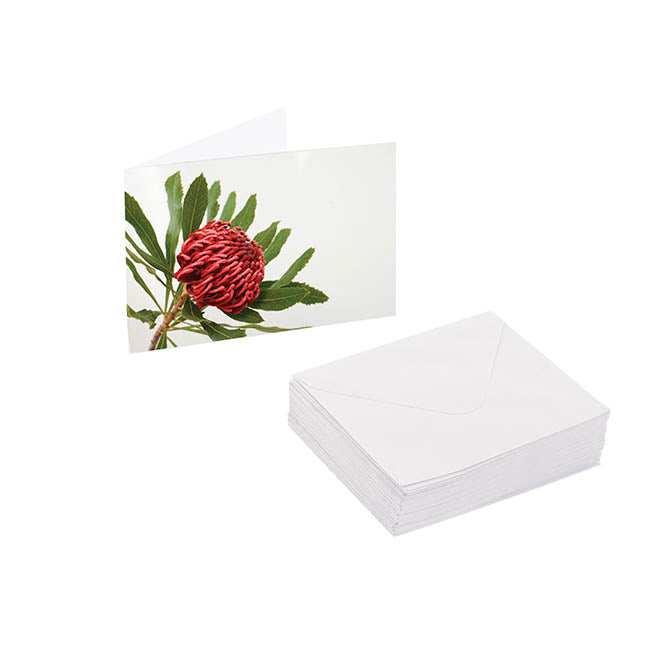 Artisan Gift Card & Envelope Waratah Red Pk25 (10x6.5cmH)