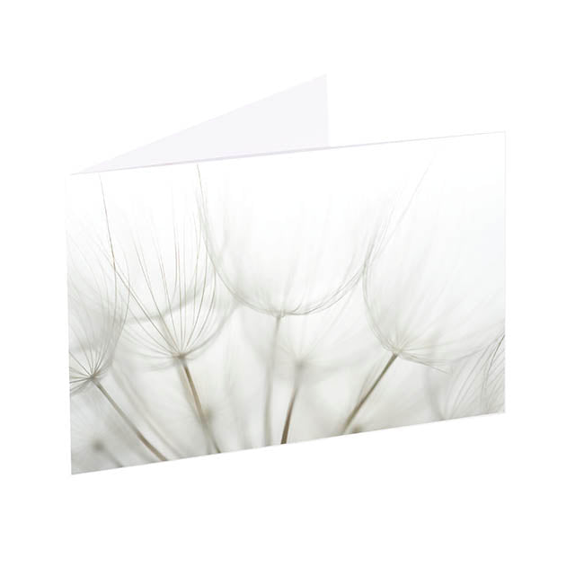 Artisan Gift Card & Envelope Dandelions Pk25 (10x6.5cmH)