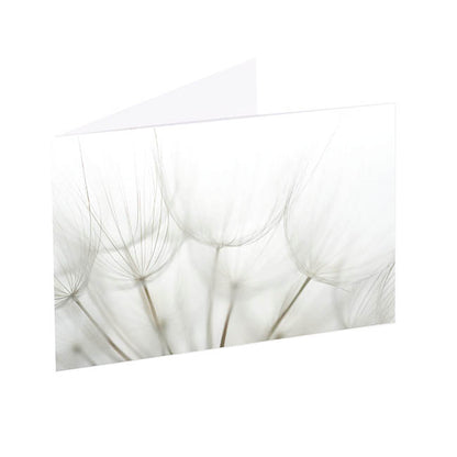 Artisan Gift Card & Envelope Dandelions Pk25 (10x6.5cmH)
