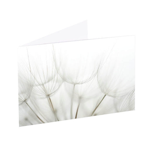 Artisan Gift Card & Envelope Dandelions Pk25 (10x6.5cmH)