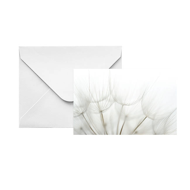 Artisan Gift Card & Envelope Dandelions Pk25 (10x6.5cmH)