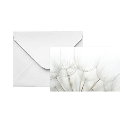 Artisan Gift Card & Envelope Dandelions Pk25 (10x6.5cmH)