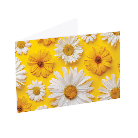 Artisan Gift Card & Envelope Daisy Daze Pk25 (10x6.5cmH)