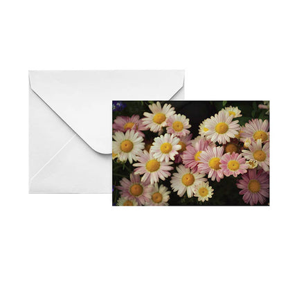 Artisan Gift Card & Envelope Daisy Field Pk25 (10x6.5cmH)