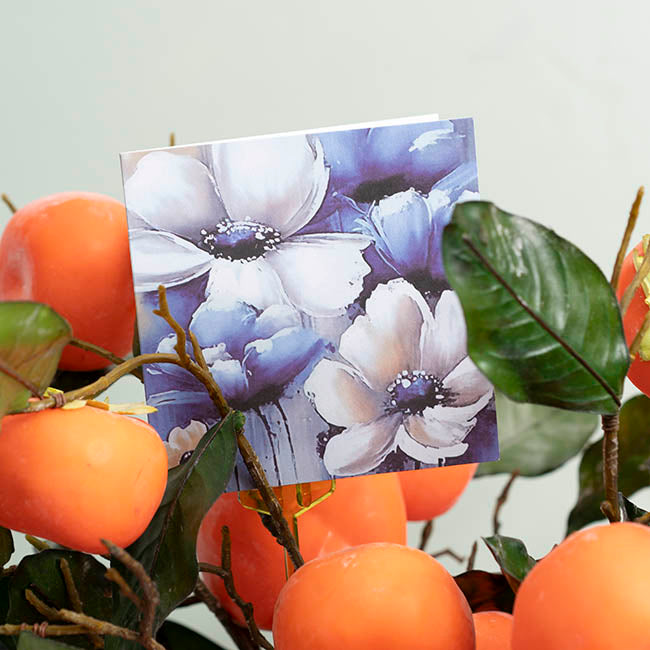 Nouvelle Gift Card & Envelope White Anemone Pk25 (10x10cmH)