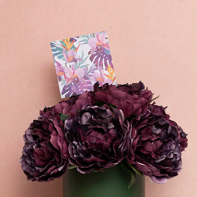 Nouvelle Gift Card & Envelope Tropical Plants Pk25(10x10cmH)