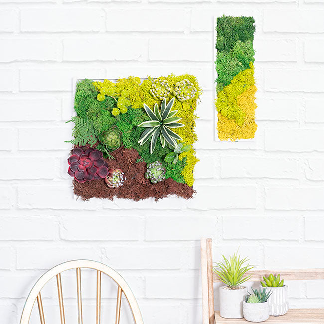 Premium Preserved Reindeer Moss Bulk 1kg Box Forest Green