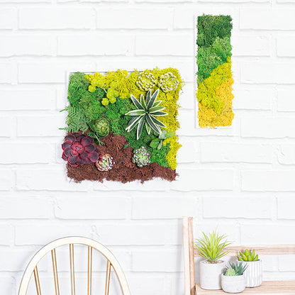 Premium Preserved Reindeer Moss Bulk 1kg Box Forest Green