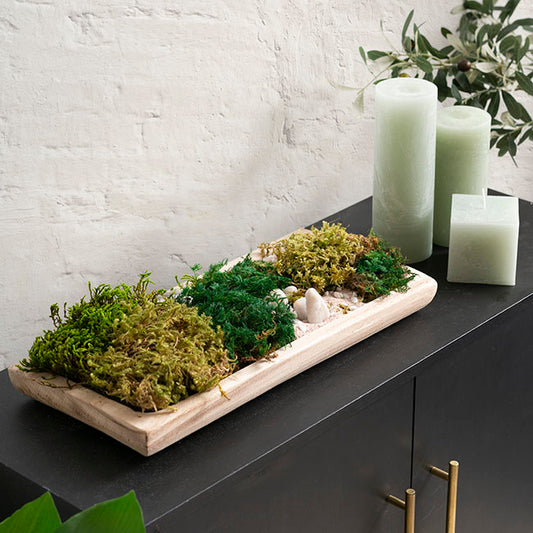 Premium Preserved Fern Moss 500g Box Green