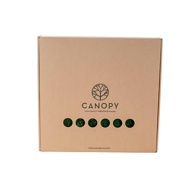 Premium Preserved Fern Moss 500g Box Green