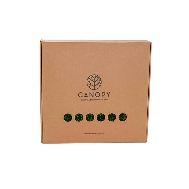 Premium Preserved Long Moss 500g Box Green