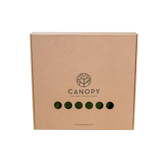 Premium Preserved Mood Moss 600g Box Nature Green