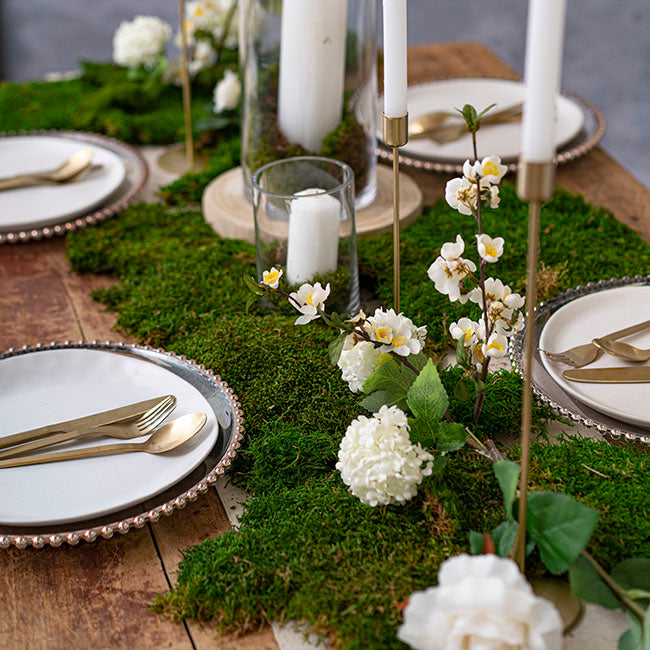 Premium Preserved Flat Moss Sheet Bulk 2.5kg Box Green