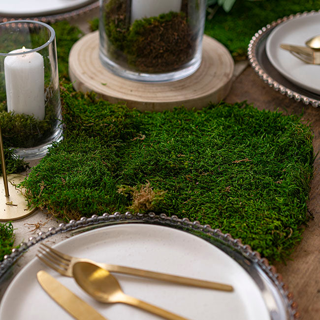 Premium Preserved Flat Moss Sheet 500g Box Green