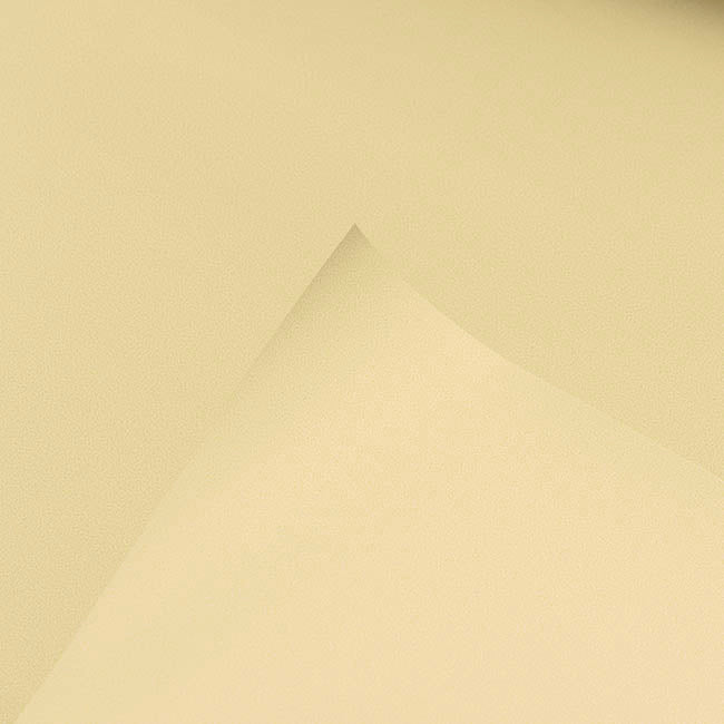 Wrapping Paper Platinum Foil Matte Light Gold (70cmx20m)