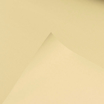 Wrapping Paper Platinum Foil Matte Light Gold (70cmx20m)