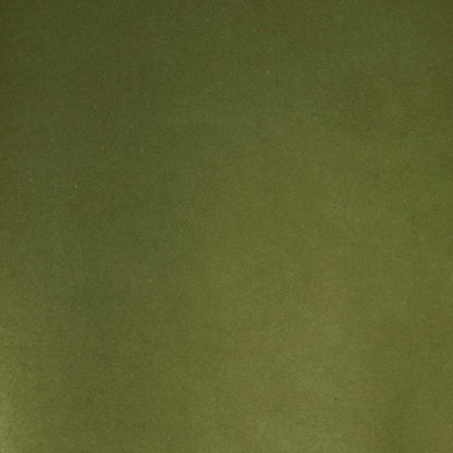 Wrapping Paper Counter Roll 80gsm Kraft Moss (50cmx50m)