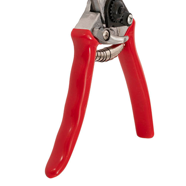 Secateurs Garden Shears Branch Cut Red Handle (216mm / 8.5")