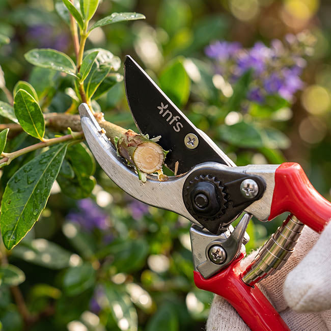 Secateurs Garden Shears Branch Cut Red Handle (216mm / 8.5")