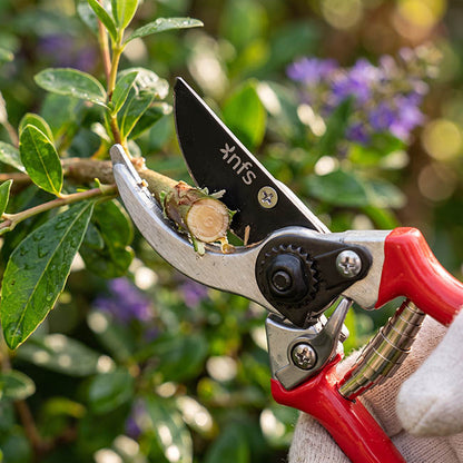 Secateurs Garden Shears Branch Cut Red Handle (216mm / 8.5")