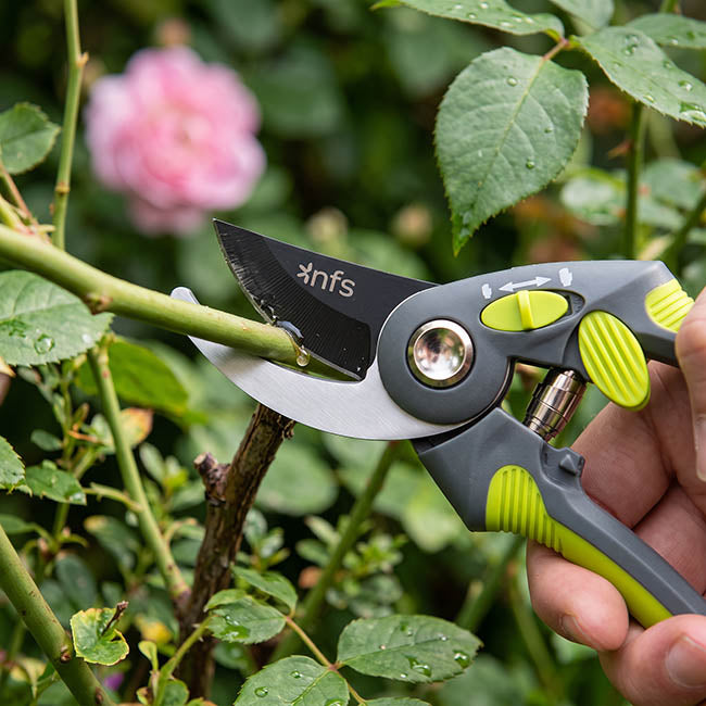 Secateurs Professional Bypass Garden Shear (20cm / 8")