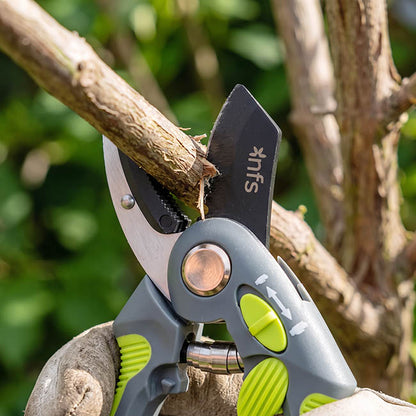 Secateurs Professional Anvil Garden Shears (20cm / 8")