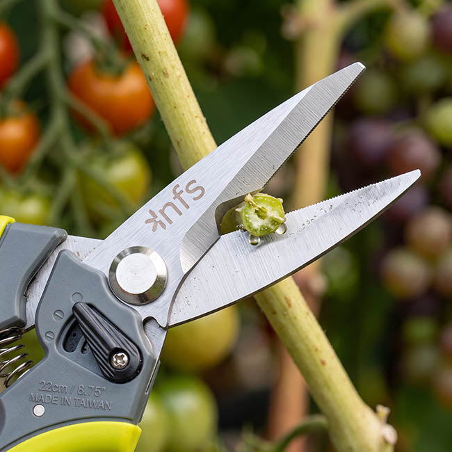 Professional Snips Trimmer Picker Bunch Cutter (22cm/8.75")