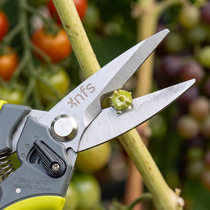 Professional Snips Trimmer Picker Bunch Cutter (22cm/8.75")