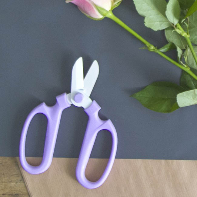 Japanese Style Flower Snips Gift Box Lavender (170mm )