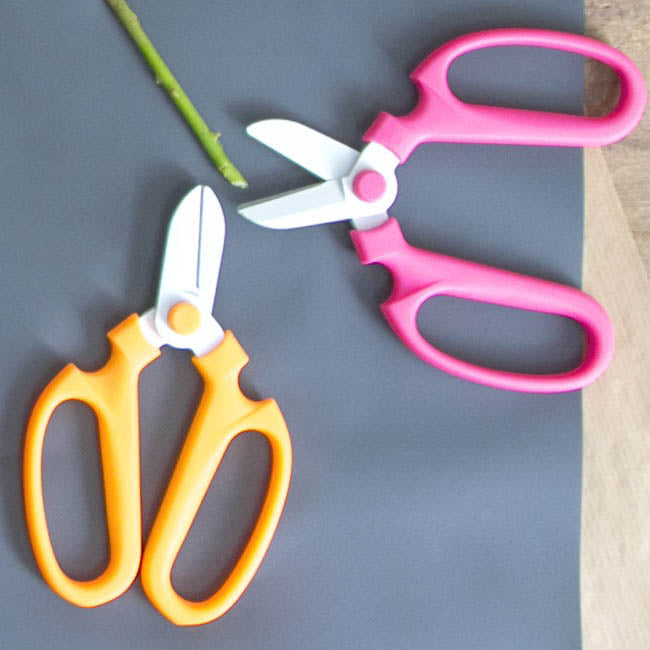 Japanese Style Flower Snips Gift Box Pink (170mm - 6.7")