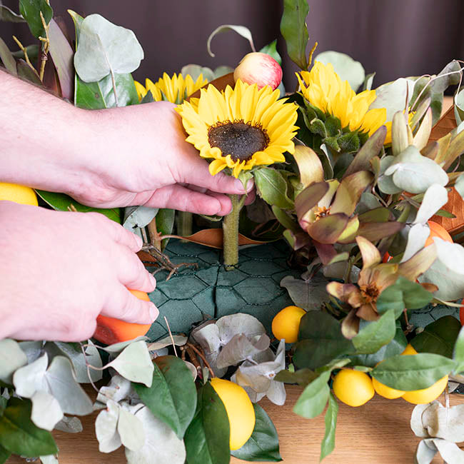 Chicken Wire Coated Florist Roll HexNet (50cmx20m) Green