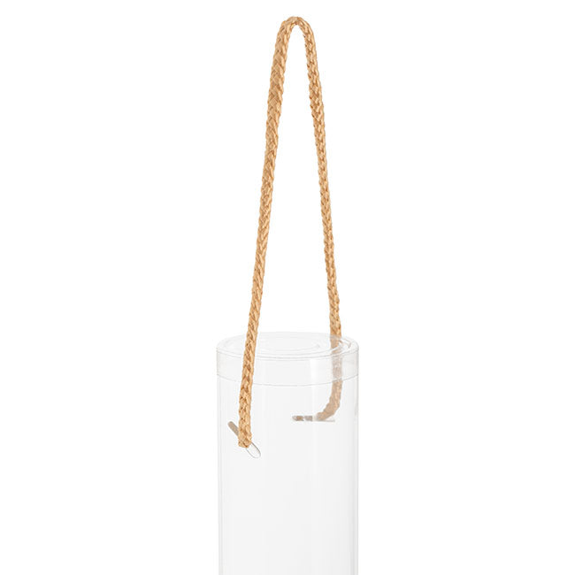 Rose Cylinder Acetate Tube Clear 18" (6.25cmDx45cmH)