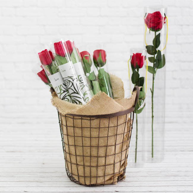 Rose Cylinder Acetate Tube Clear 18" (6.25cmDx45cmH)