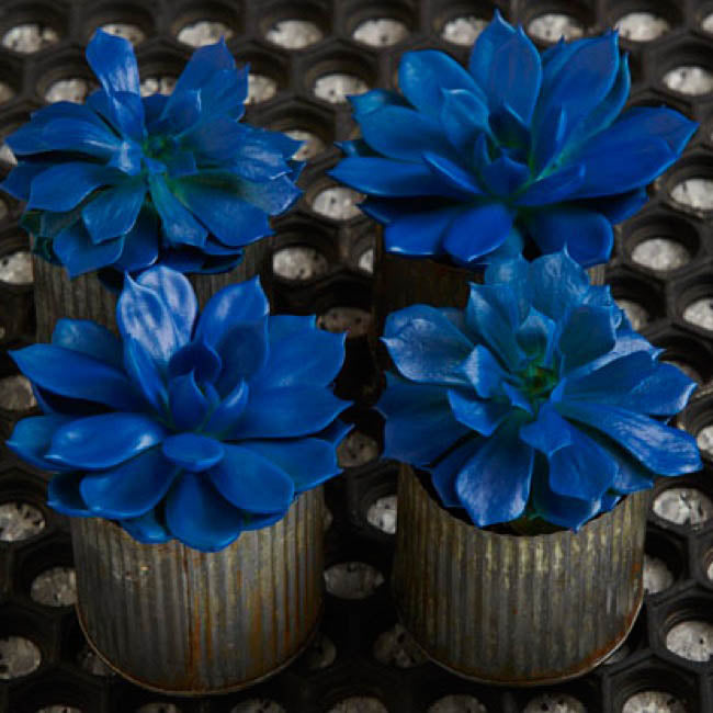 Design Master Spray Paint Colortools Blue Marlin (340g)