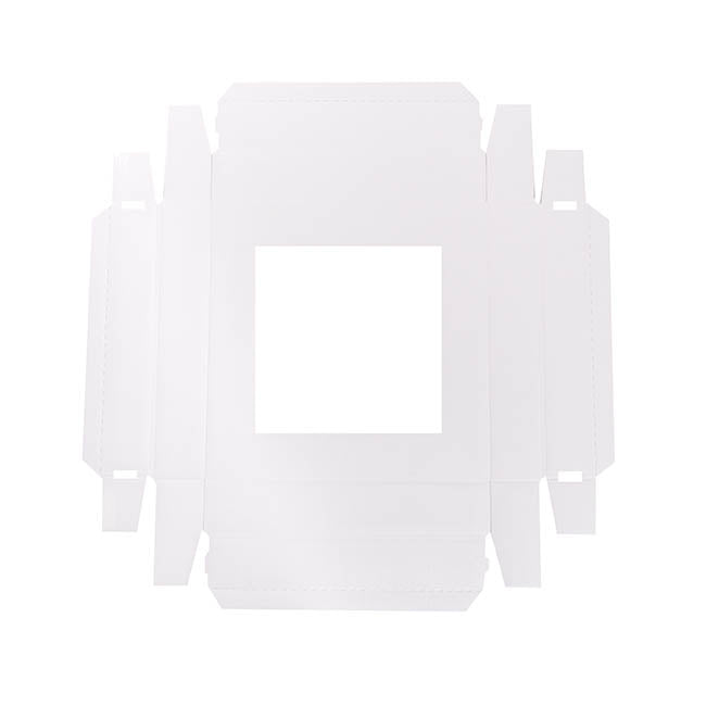 Gourmet Grazing Gift Box Window Sq White (28x28x9cmH)