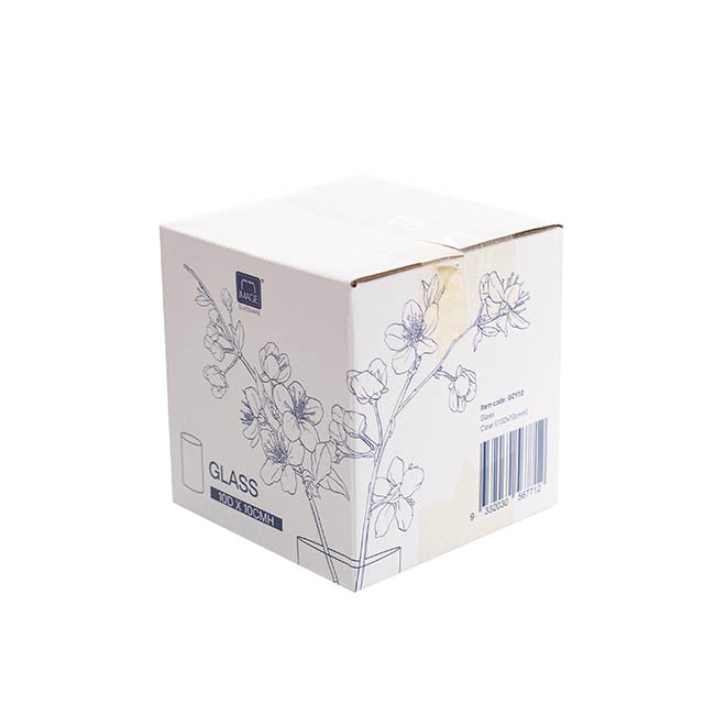 Glass Cylinder Blossom Vase Clear (10Dx10cmH)