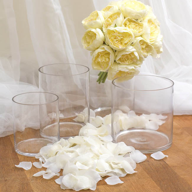 Glass Cylinder Vase Clear (18Dx18cmH)