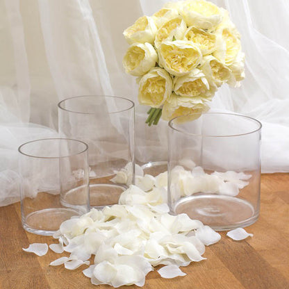 Glass Cylinder Vase Clear (18Dx18cmH)