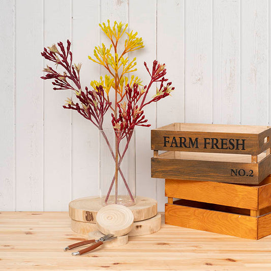 Glass Cylinder Floral Event Vase Clear (12Dx25cmH)