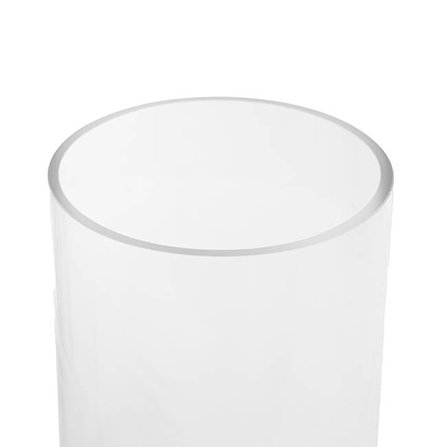 Glass Cylinder Vase Clear (12Dx25cmH) Dual Finish White