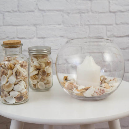 Glass Fish Bowl 18cm Clear (11TDx18Dx16cmH)